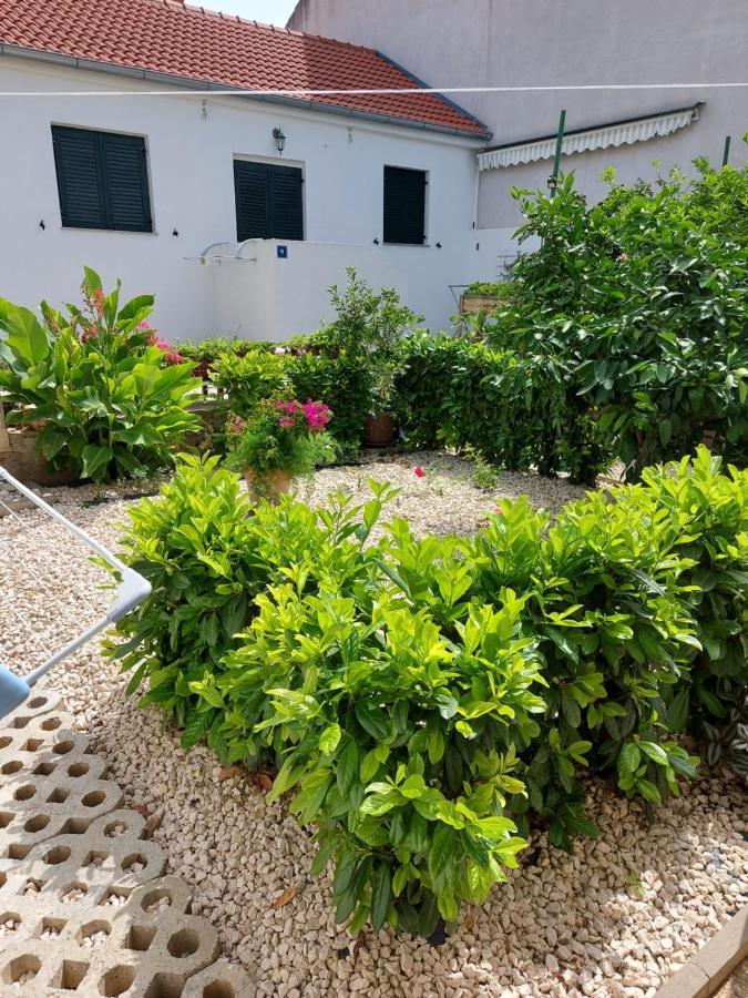 Apartments Jelicic Biograd Na Moru Exterior foto